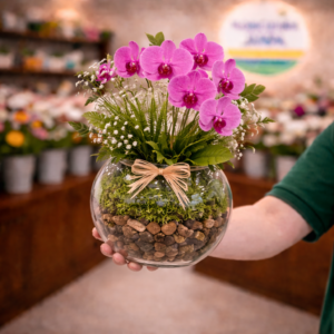 Orquídea no Aquário